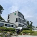 고고펜션 | 강릉애견동반펜션 강릉댕댕이 애견펜션 블루 후기
