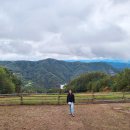 산새목장 이미지