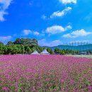 청솔농원 이미지