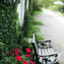 우리들이 보는 세상 이미지