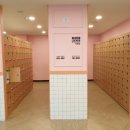 정글팡팡 네이버블로그