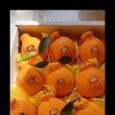 다미농장 이미지