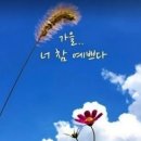 지금조개 이미지