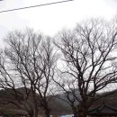 박달3리 이미지