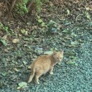 진명약국 이미지