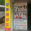 용인대 대명 태권도장 이미지