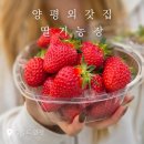 경기도 양평군 원덕초등학교 | 양평외갓집 딸기농장 / 수확체험 후기 _ 20260417