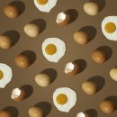 탄현식품 이미지