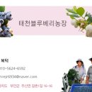 복덕농장 이미지