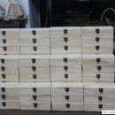 광명초등학교 이미지