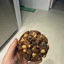 [빵택배] 올리몰리 택배후기 (내돈내산 -31,000)