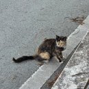 산사펜션 | 강원도 백담계곡 펜션 추천, 산사펜션 계곡 가까운 펜션