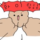 원(WON) 복싱짐 이미지