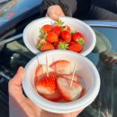 영돈농장 이미지