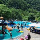 천동물놀이장 이미지