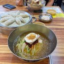 고향 | 경주밀면맛집 줄서먹는 고향밀면 후기