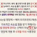 스케치온유