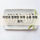 자연과 하루 | 자연과 함께한 하루 소풍 체험 후기