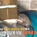 금순이농장 이미지