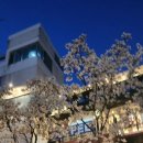 청학로학교길1 이미지