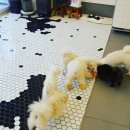 잇츠 소미 스타일 이미지