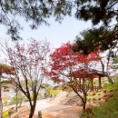 공간꽃조경 이미지