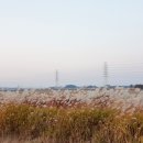 낭산작은도서관 이미지