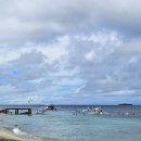 아리엘 호텔 | 세부 여행, 모알보알 아리엘(Areil) 초급 프리다이빙 현지인 투어 후기 내돈내산