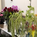 (주)범스 이미지