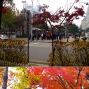 과천청사역 11번 출구 뒤 이미지