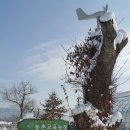 채림목장 이미지