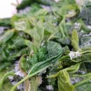 오디건강체험마을 이미지