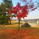 라움아동발달연구소 네이버블로그