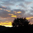 미선농장 이미지