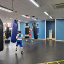 세종 익사이팅 복싱 이미지