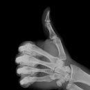 명품셀프세차 이미지