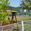 원주시청 어린이집 이미지