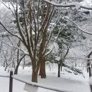 명동산장펜션 이미지