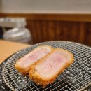 돌고래목욕탕 | 일본 미야케지마 돌고래투어 (미라쿠지마) , 도쿄 긴자 돈카츠 맛집 추천