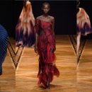 이리스(IRIS) 이미지