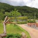 지리산유아숲체험원 네이버블로그