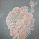 재궁동행정복지센터 이미지