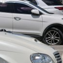 서구견인차량보관소 이미지