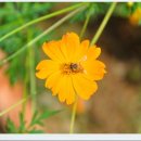 (주)무송건설 이미지