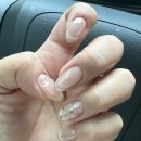 완월동178 이미지