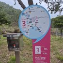 청산도 슬로길 11+1(명품길)코스 완전 정복