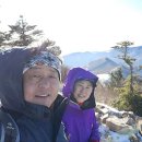 대촌관광농원 이미지