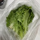 설레족발 - 김포시 조강로 58-1 | [대장동 맛집] 내 소울푸드 족발, 실패 없는 '설레족발' 배달 후기 (내돈내산)