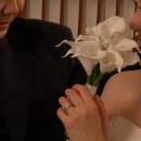 라담 - 순창군 장류로 395 | 부산 웨딩스냅 야외스냅 가성비 좋은 바라담스튜디오 후기