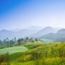 대식당(마에스트로) 이미지